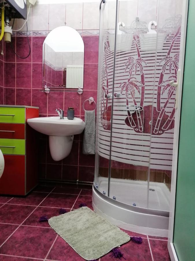 Apartament Josefin Lejlighed Timişoara Eksteriør billede